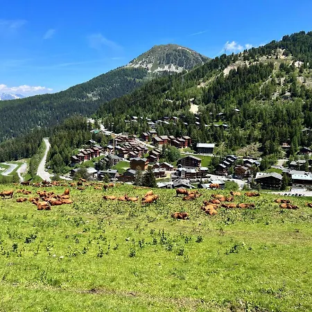 Le Trenel 公寓 La Plagne-Tarentaise